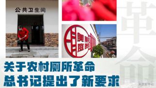 關于農村廁所革命，總書記提出了新要求